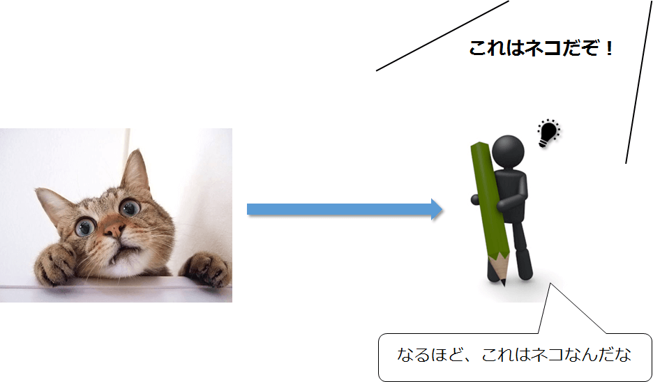 ねこの写真認識